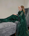 Presenting You Most Beautiful Seqwance Saree Collection - NextBuy