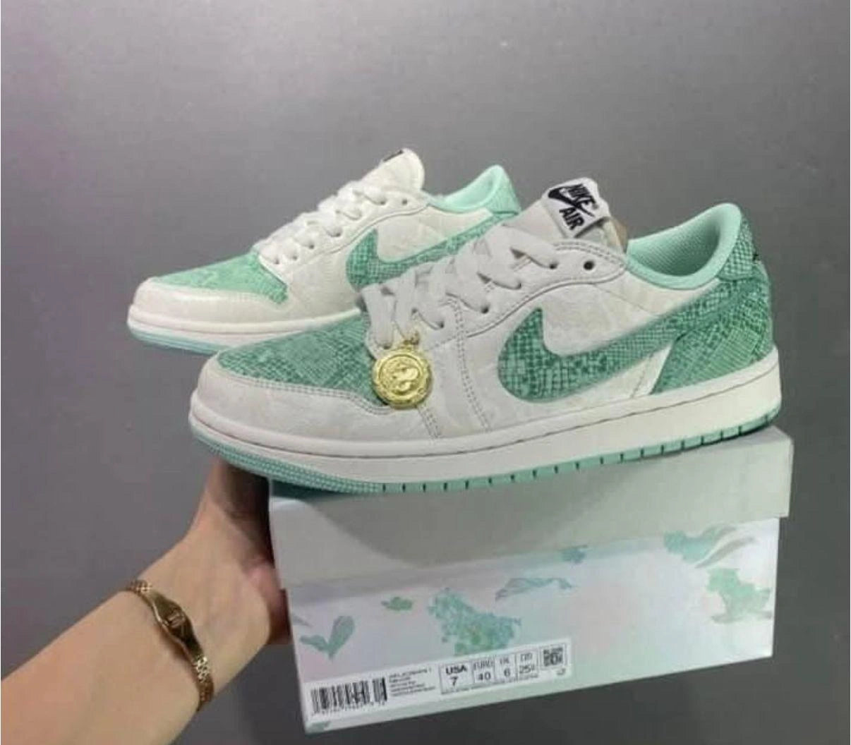 Air Jordans Retro 1 Snake with box