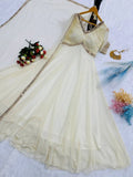Chikankari faux georgette gown for women