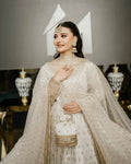 Chinon silk gown with butterfly net dupatta