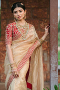 Designer saree with sequins and dori embroidery work