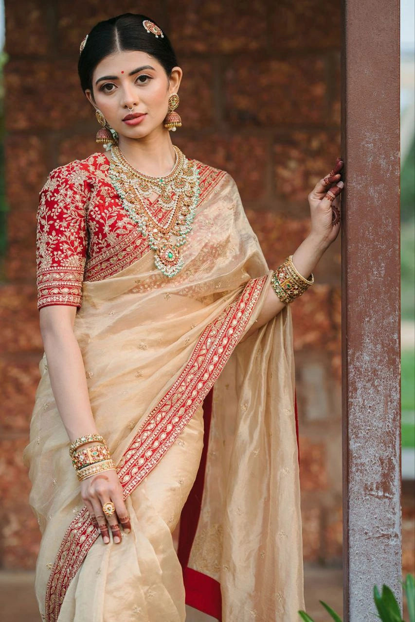 Designer saree with sequins and dori embroidery work
