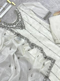 Embroidered plazo with micro cotton inner