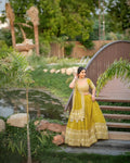embroidered fox georgette lehenga choli