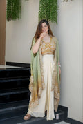 Indo-Western Draped Saree with Embroidered Blouse