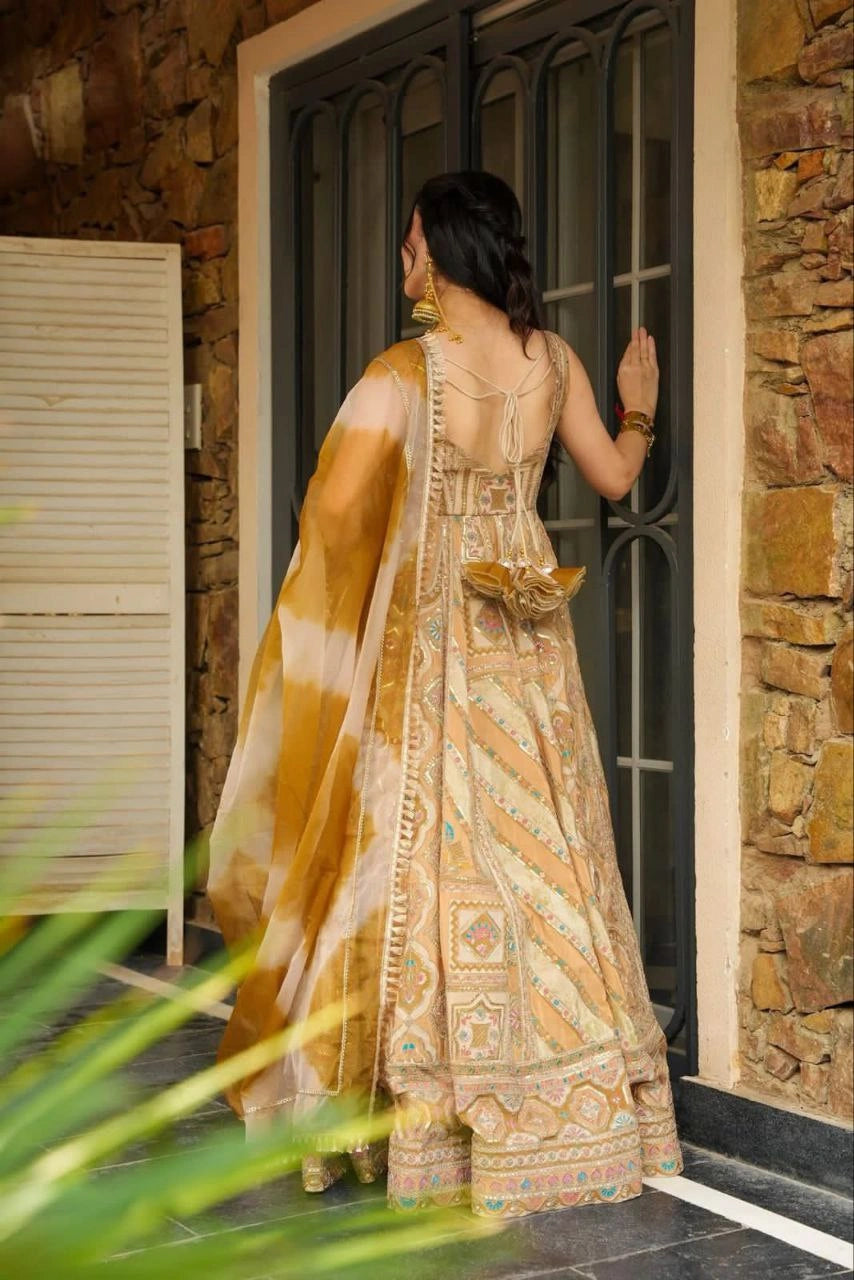Digital print Jimmy organza Anarkali gown