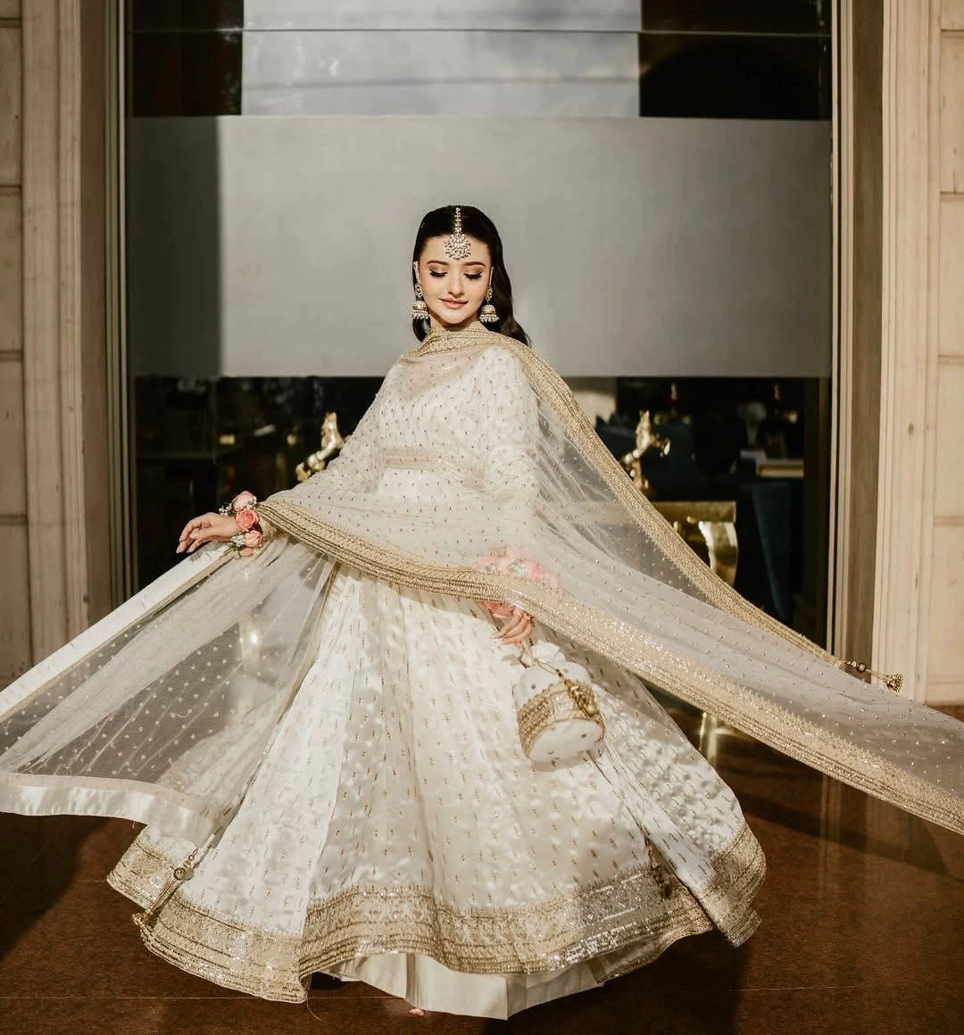Lace border net dupatta with embroidery