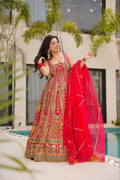 Organza dupatta with lace and Jaipuri chakkar