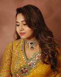 Saree with mirror embroidery all over
