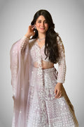 Net lehenga with resham embroidery