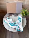 Limited edition Nike Air Pegasus 2K5 trainers