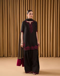 Organza dupatta with lace border and patta