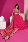Embroidery Work Digital Print Lehenga Choli (Full Stitched) NextBuy
