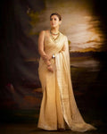 Launching: Nayanthara-Inspired Golden Banarasi Handloom Tissue Silk Saree NextBuy