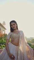 Upcoming Marriage Collection - 3 Piece Lehenga Choli Set with Beautiful Dupatta NextBuy