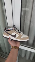 Premium Nike SB Dunk with original box